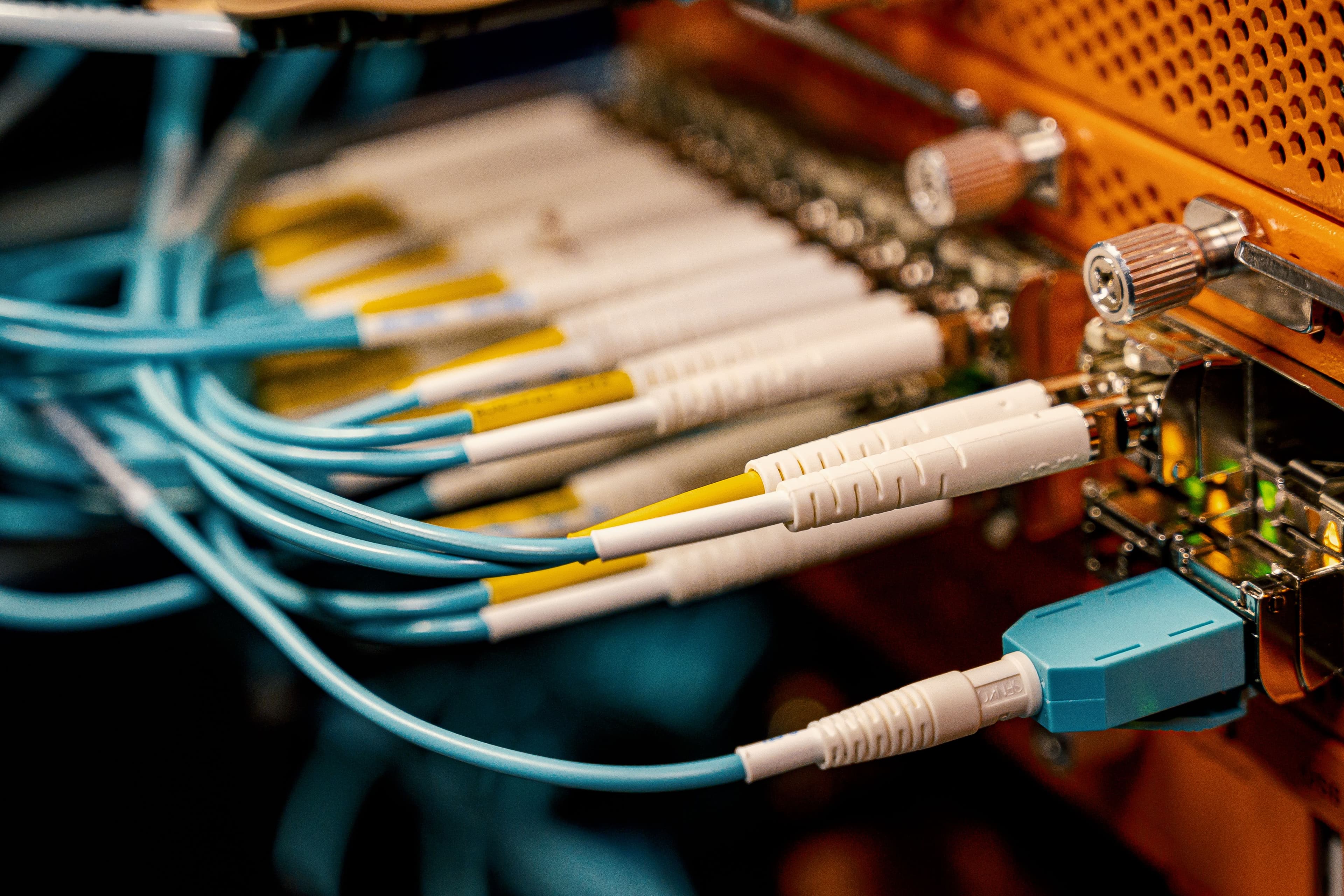 Blue and white network cables connected to an orange data switch